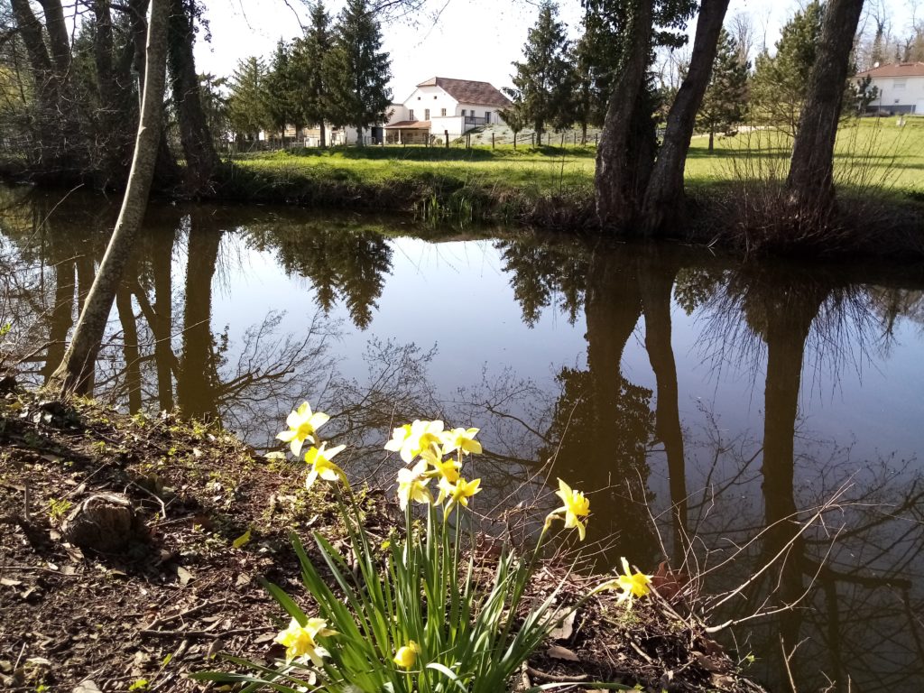 la laiterie vue de l'étang