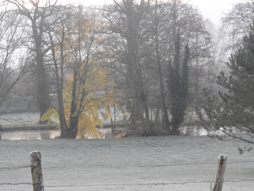 L'étang dans la brume avec quelques feuilles avant le gel fatal