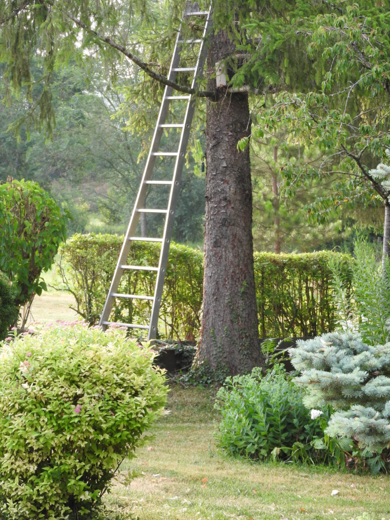 installation du nid... en carton