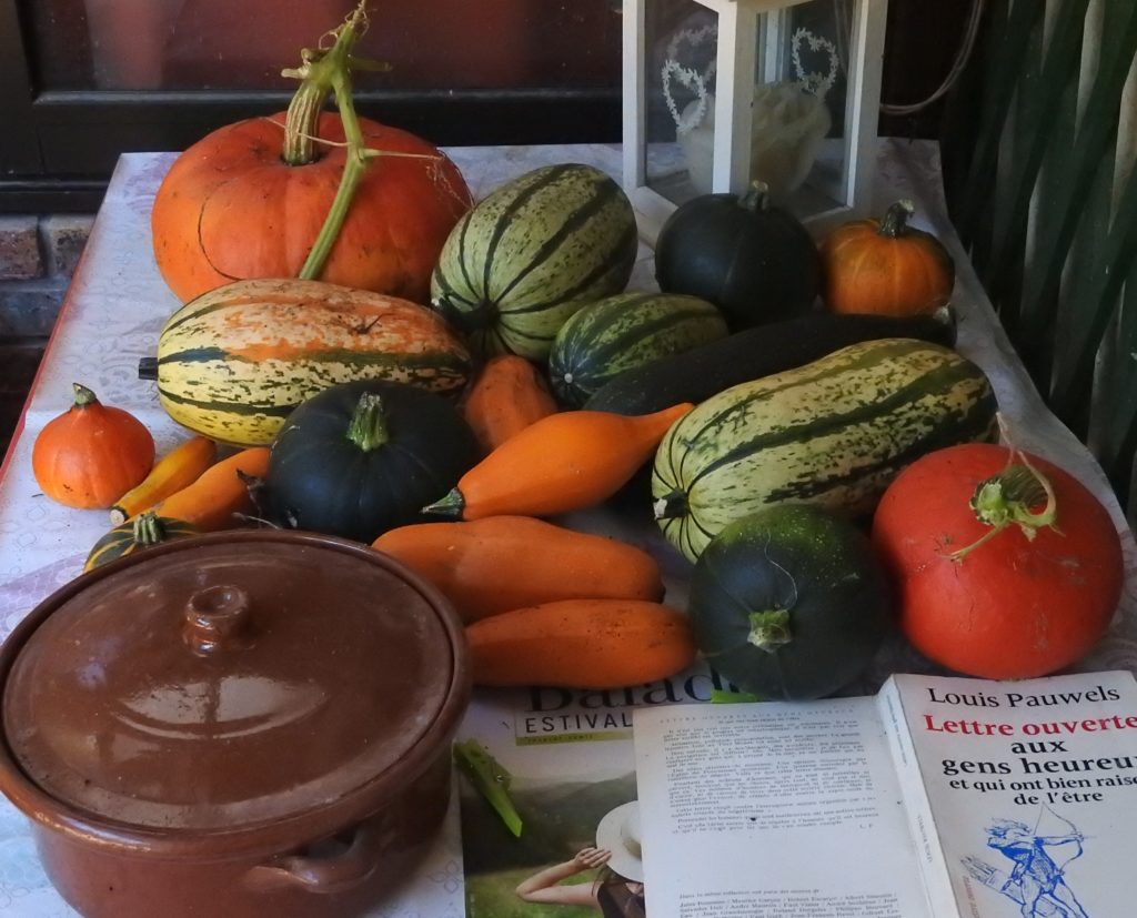  Petite moisson de légumes d'automne