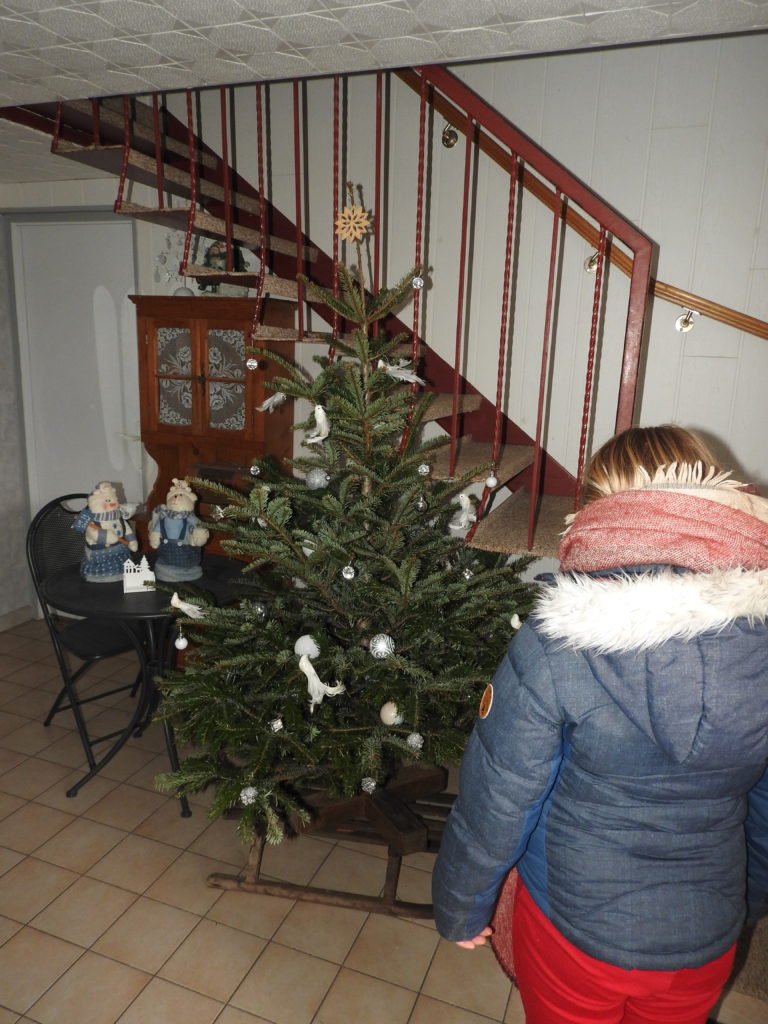 sapin monté sur luge