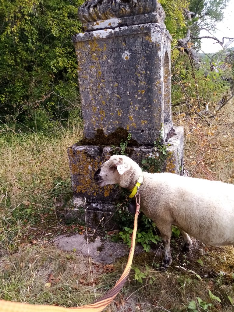 Près-de-la-croix-témoin-du-passage-de-la-famille-SERMAGE