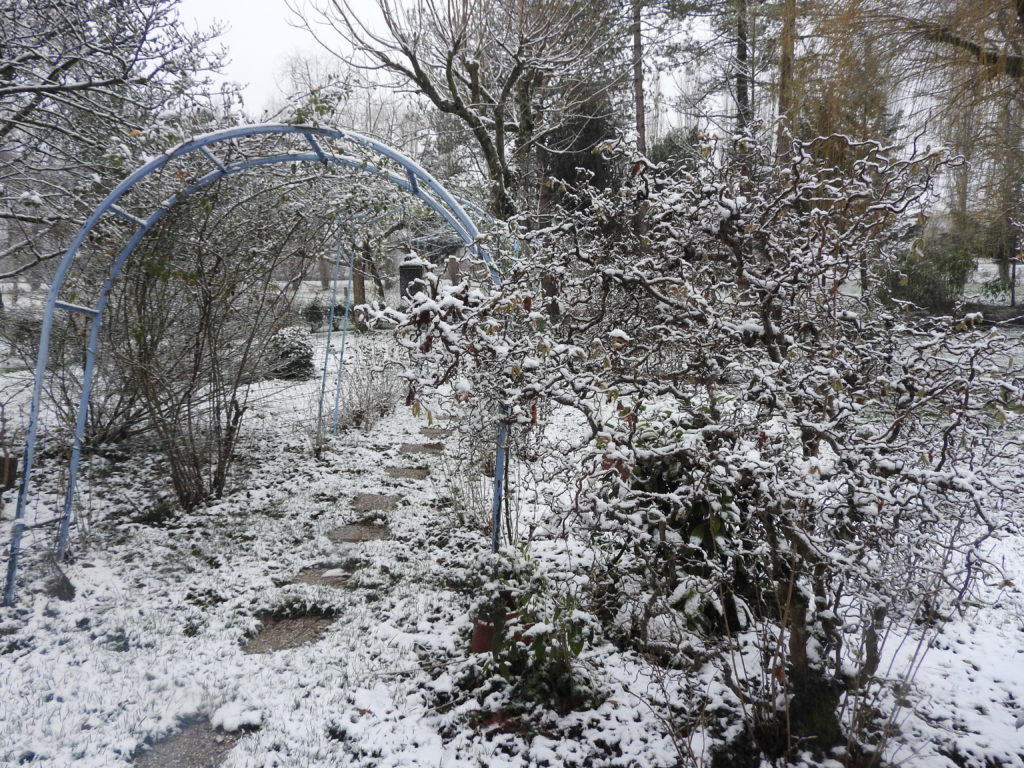 La neige sublime la végétation