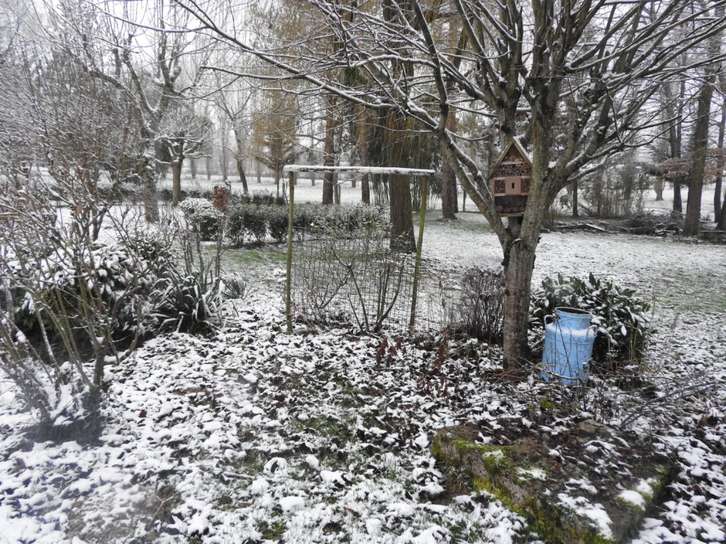 Bidon de lait qui ressort au milieu du parc dans les tons gris et blancs