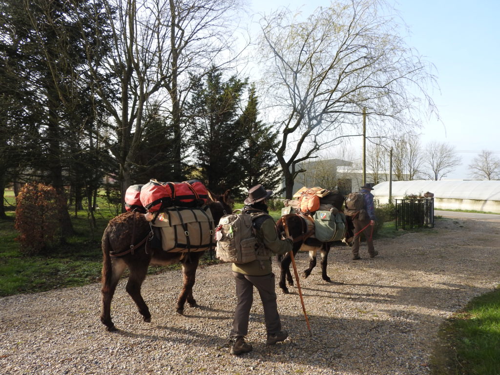 l'accueil des pélerins accompagnés d'ânes