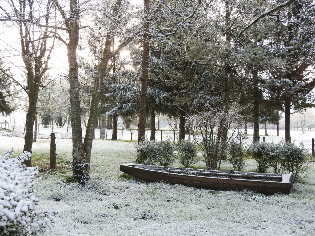 Lumière du matin avec la fraicheur de la neige