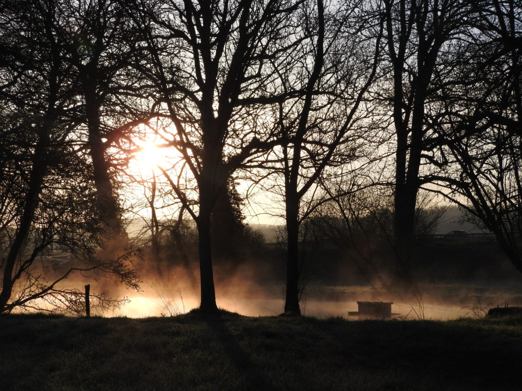 brume du matin sur l'étang