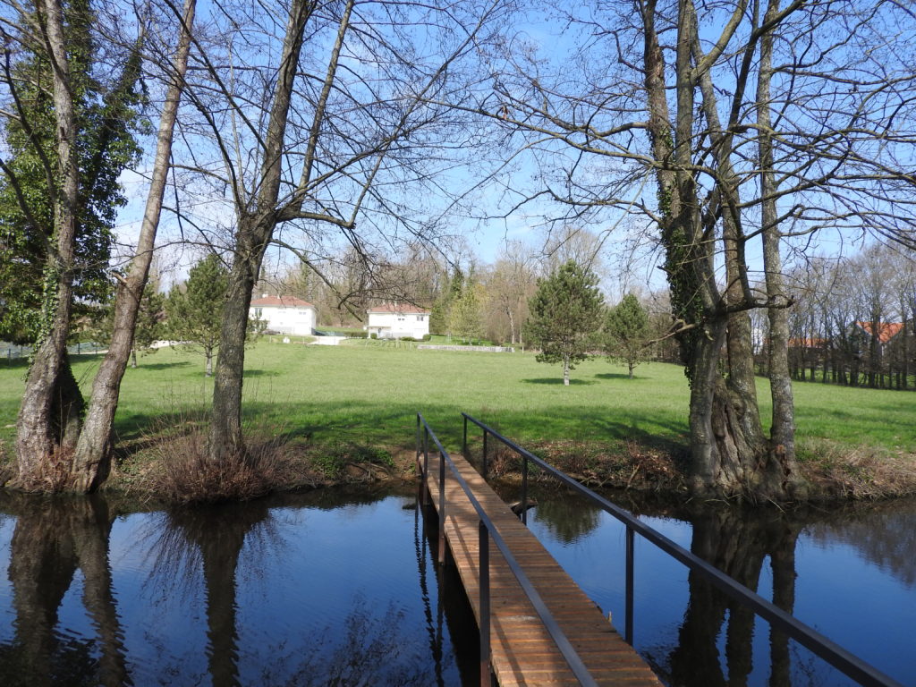 le-réveil-de-la-nature-au-printemps