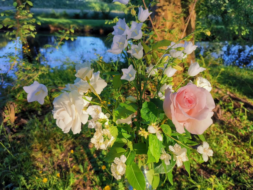 bouquet au bord de l'étang