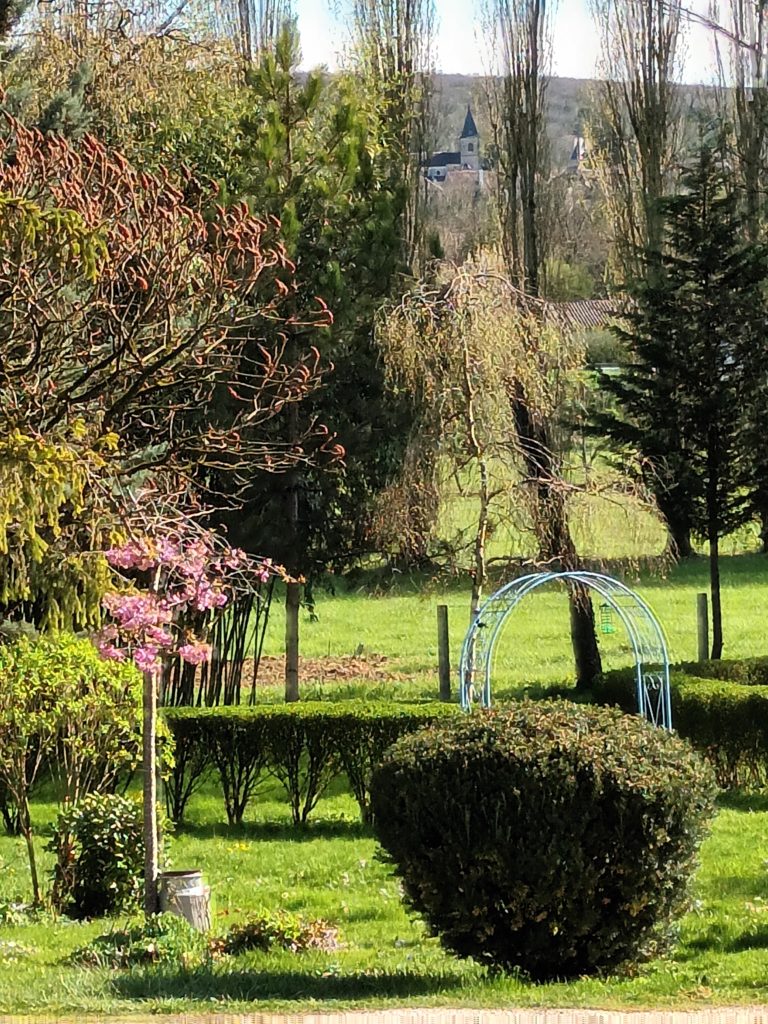 le pommier à fleurs avec l'église en fond d'image