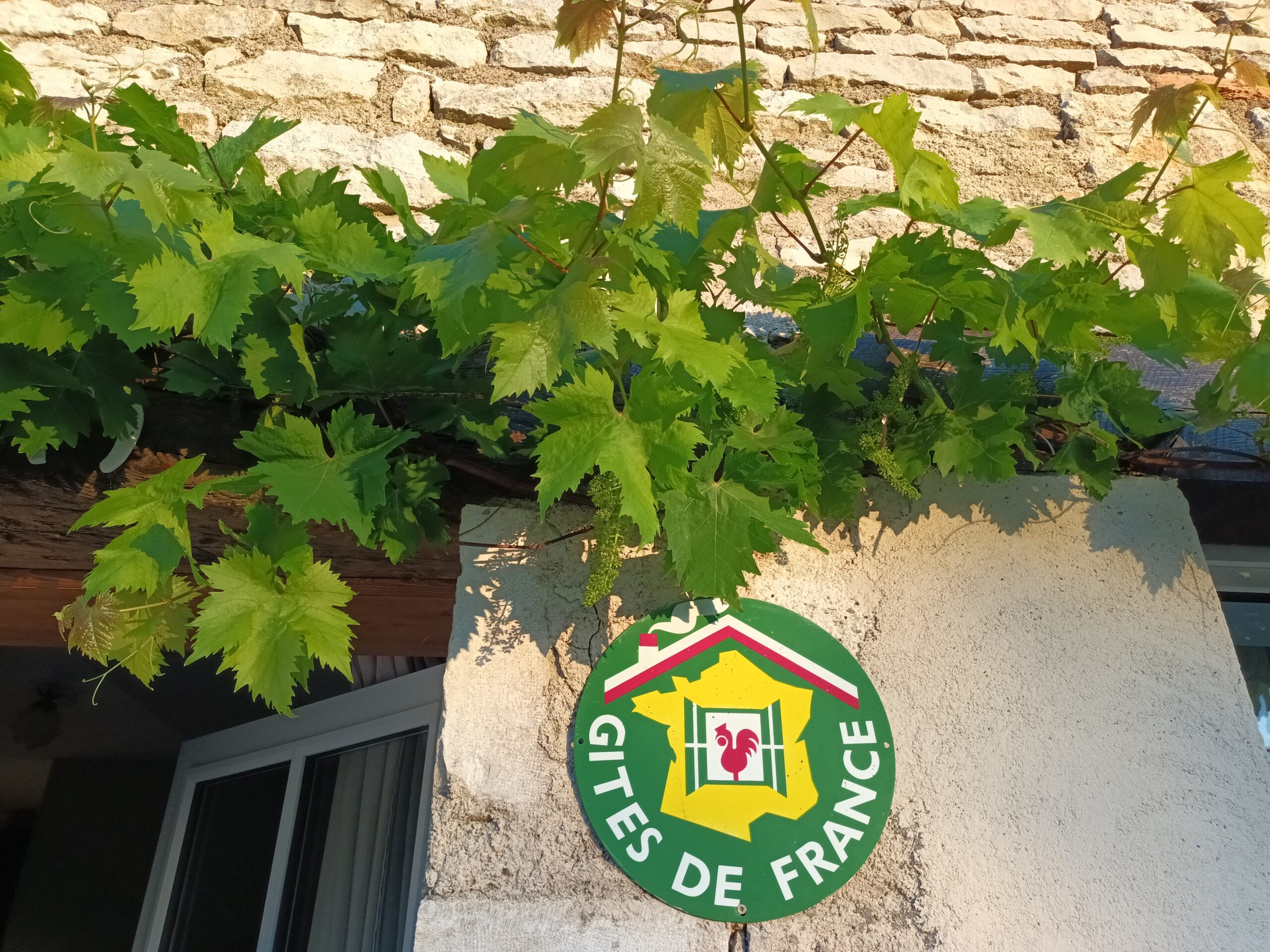 La vigne sur la laiterie de la Charmotte