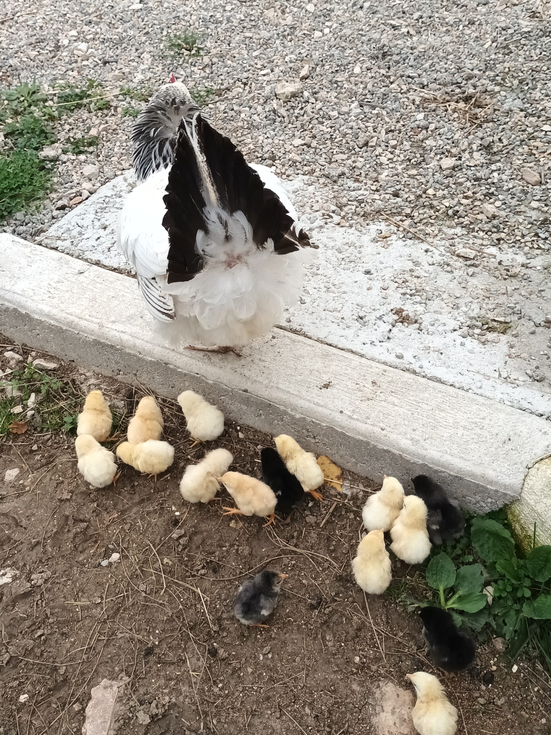 Epreuve numéro un le trottoir...