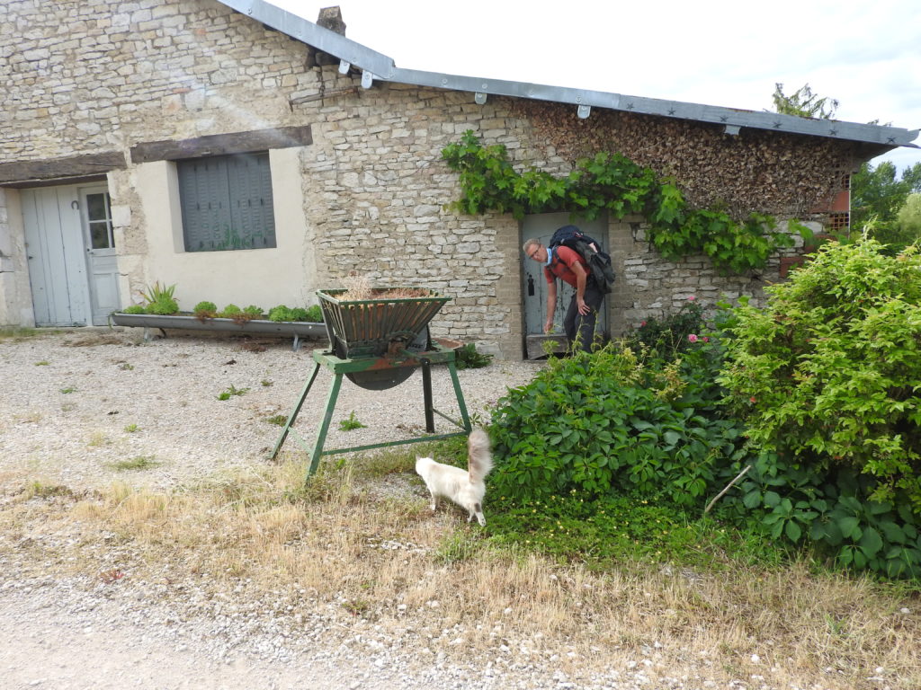 Zoé adore ces visiteurs