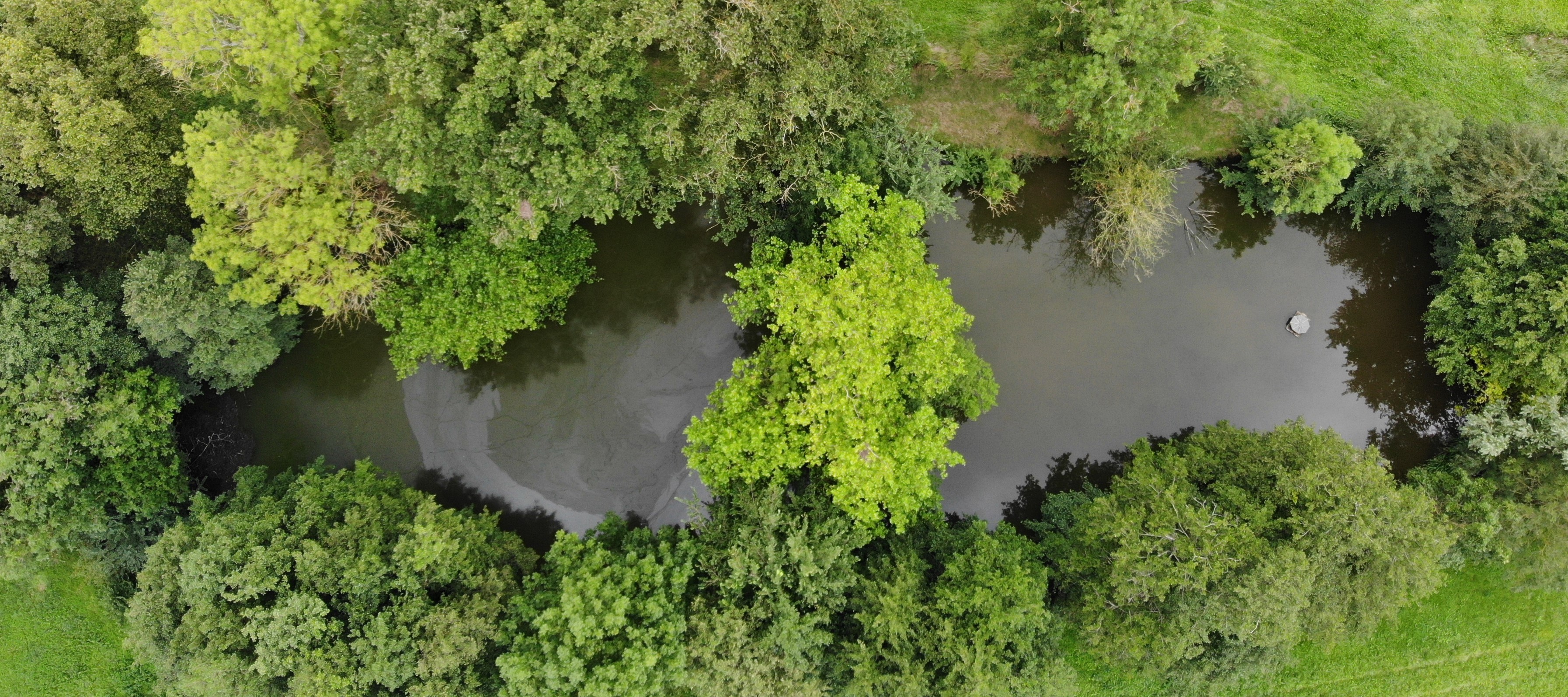 L'étang et sa cabane des canards à droite