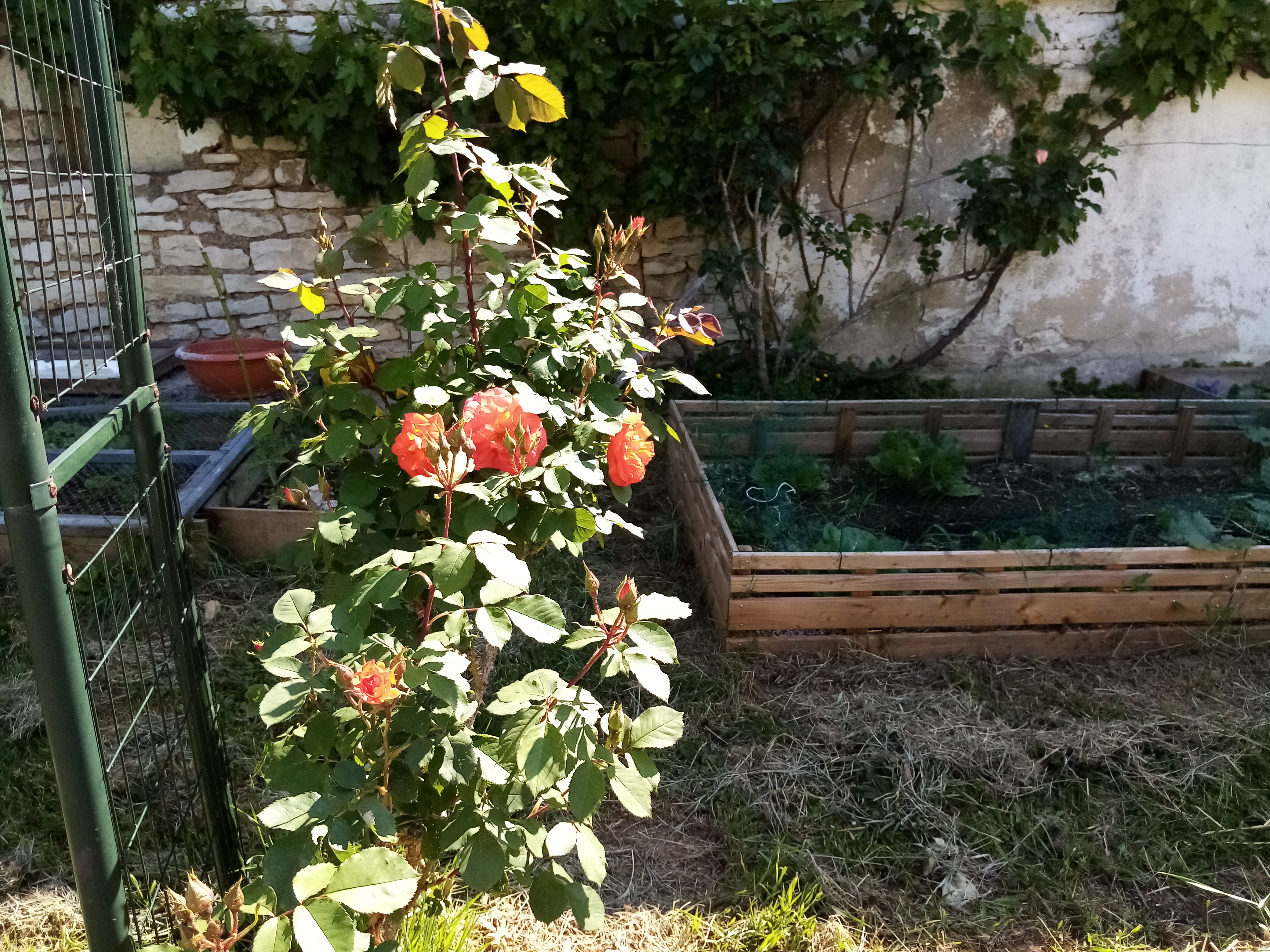 jardiner au gite de la charmotte