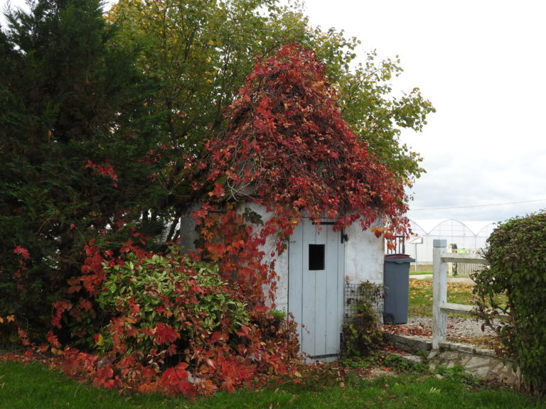 La fameuse cabane au fond du jardin....