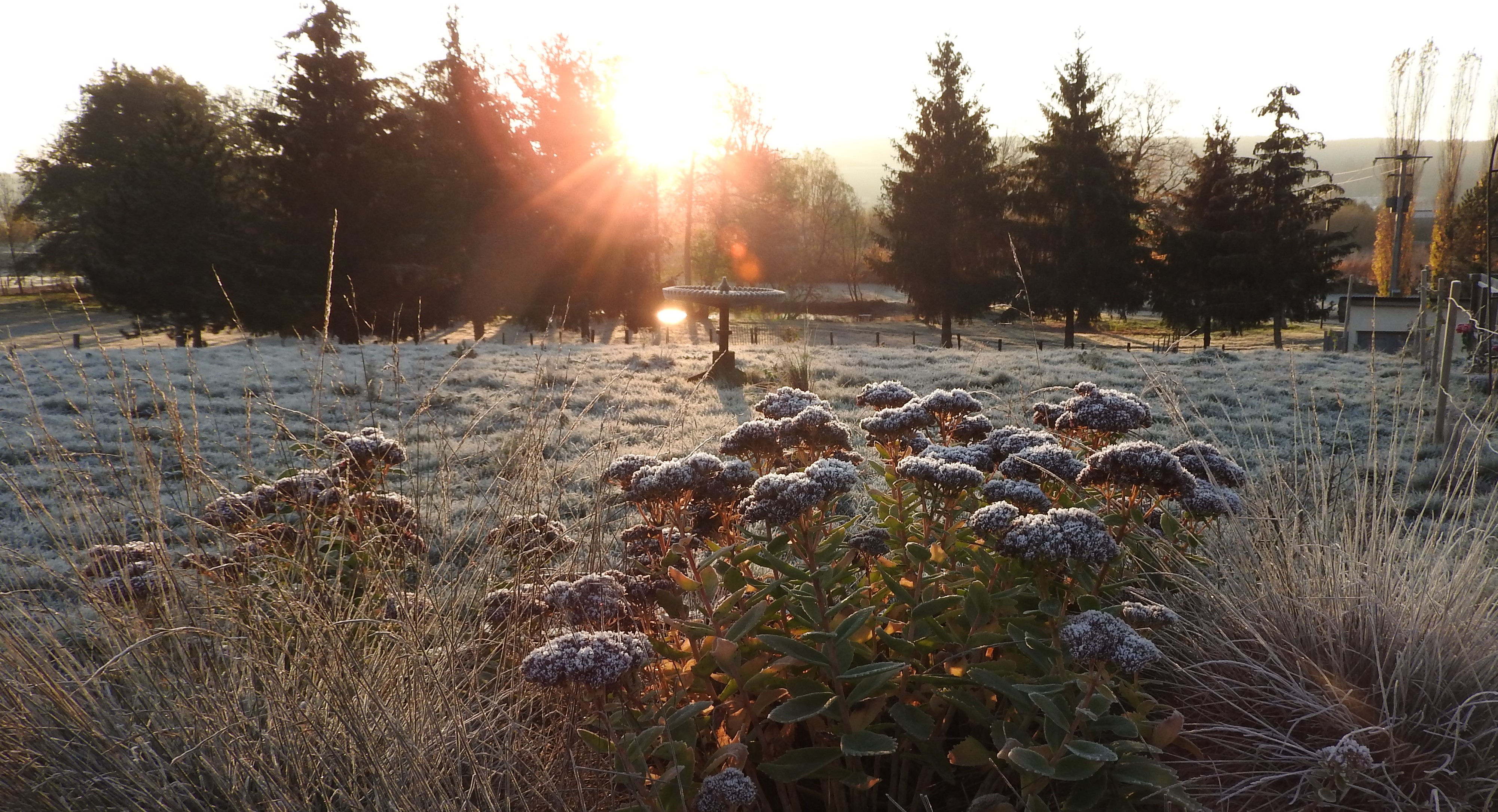 belle givre étang la charmotte