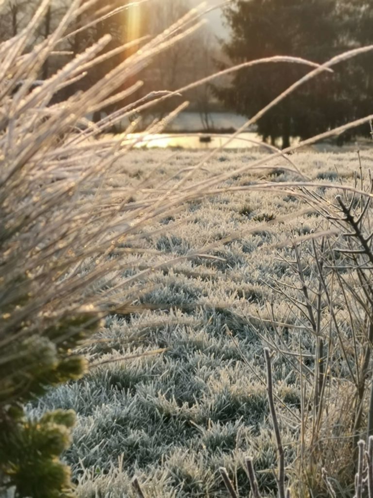 la-magie-du-givre-1