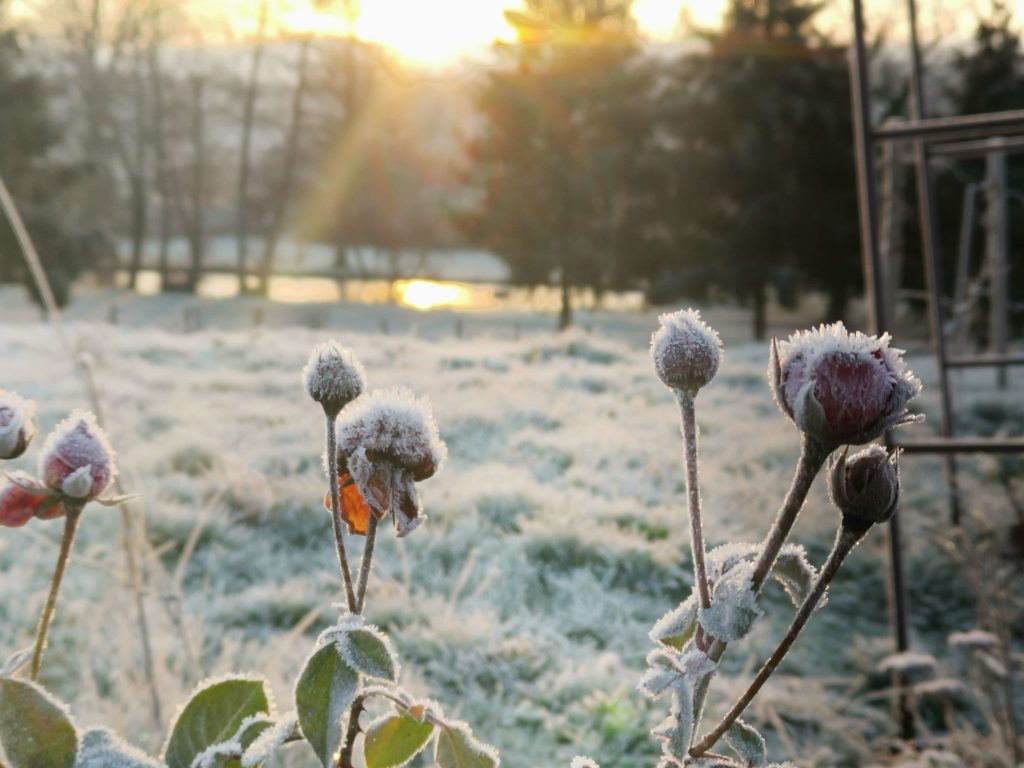 la-magie-du-givre-4