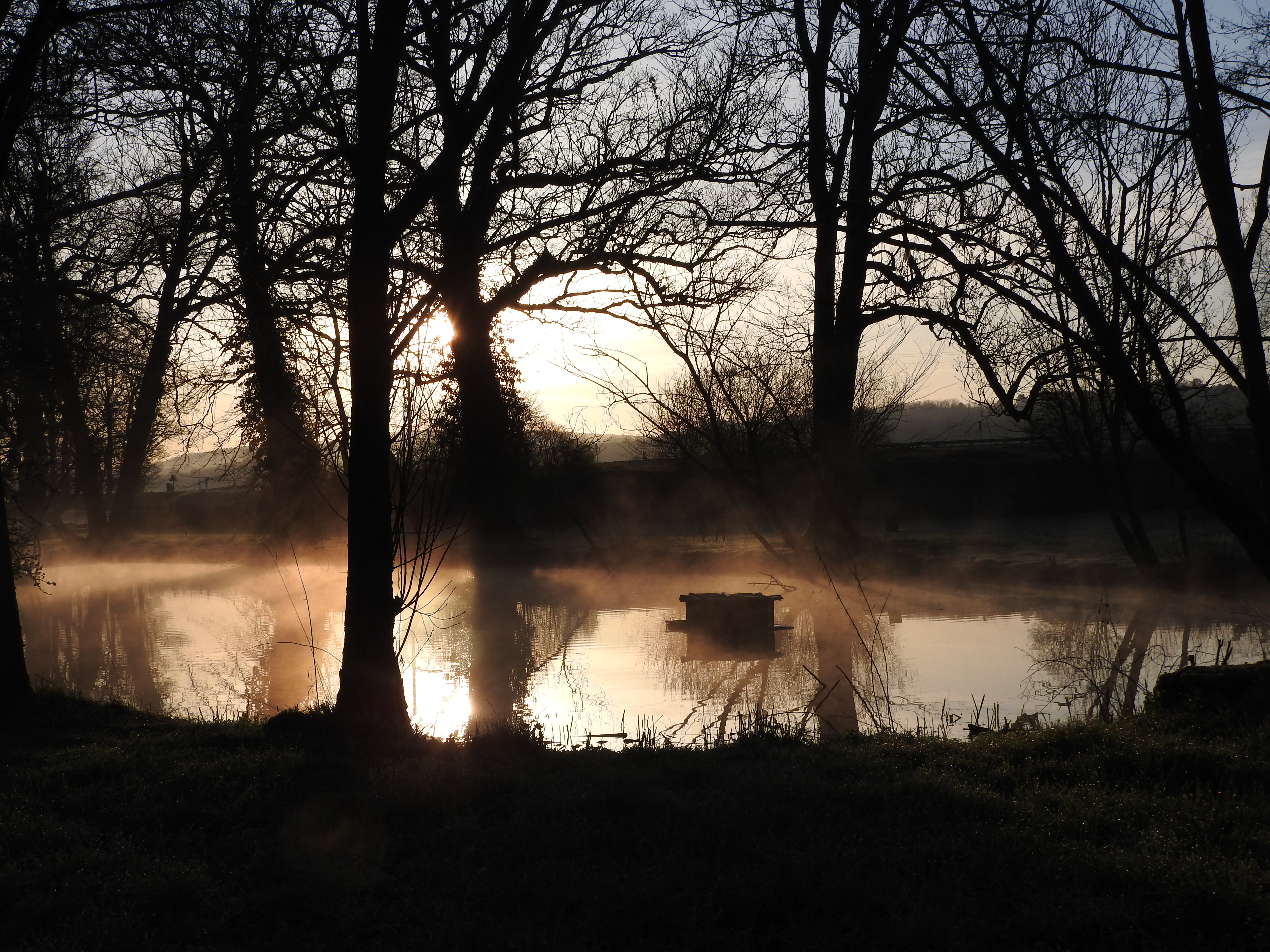 La brume matinale sur l'étang de la charmottte