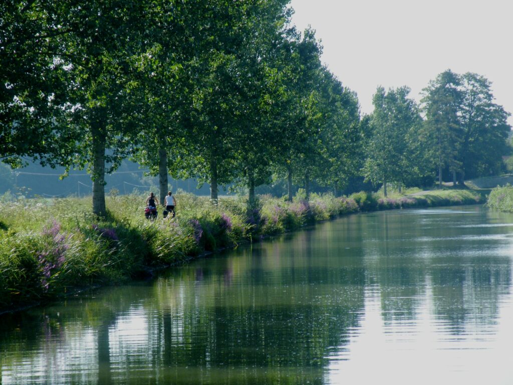 Randonneuses bord de Saône