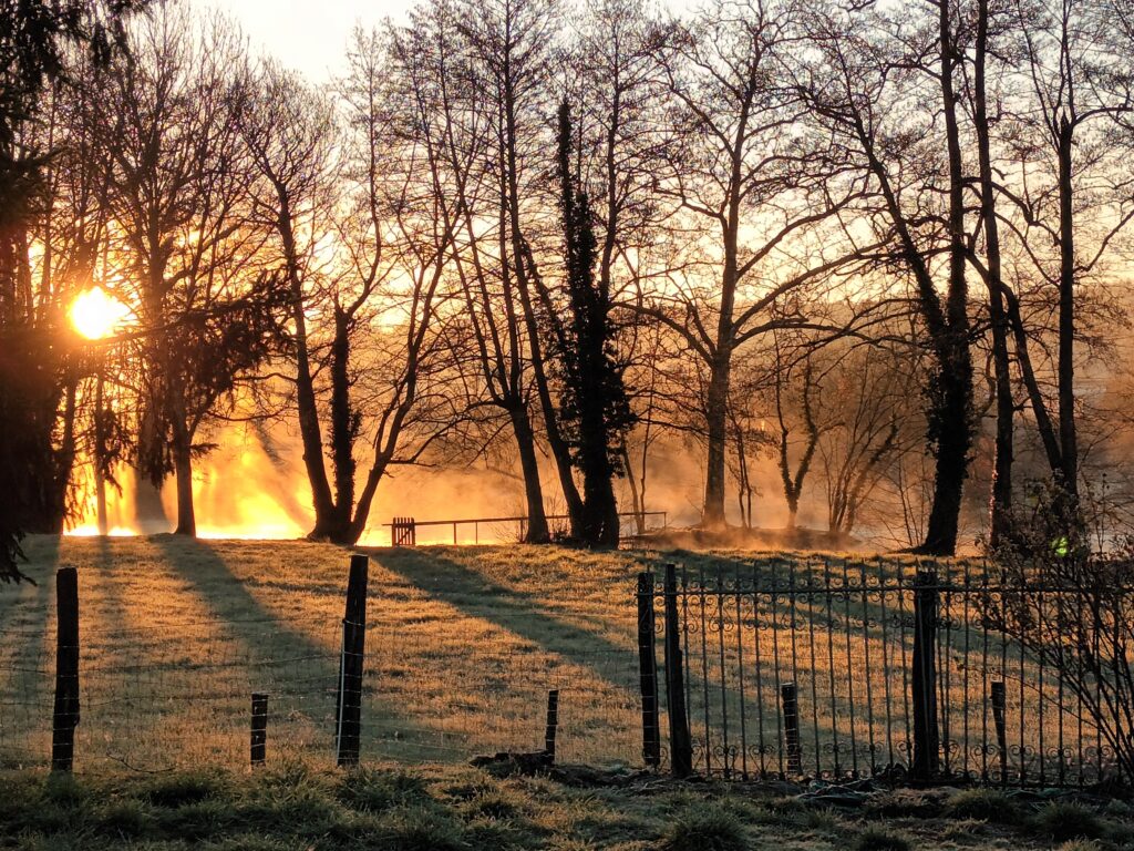 Soleil levant sur l'étang en hiver