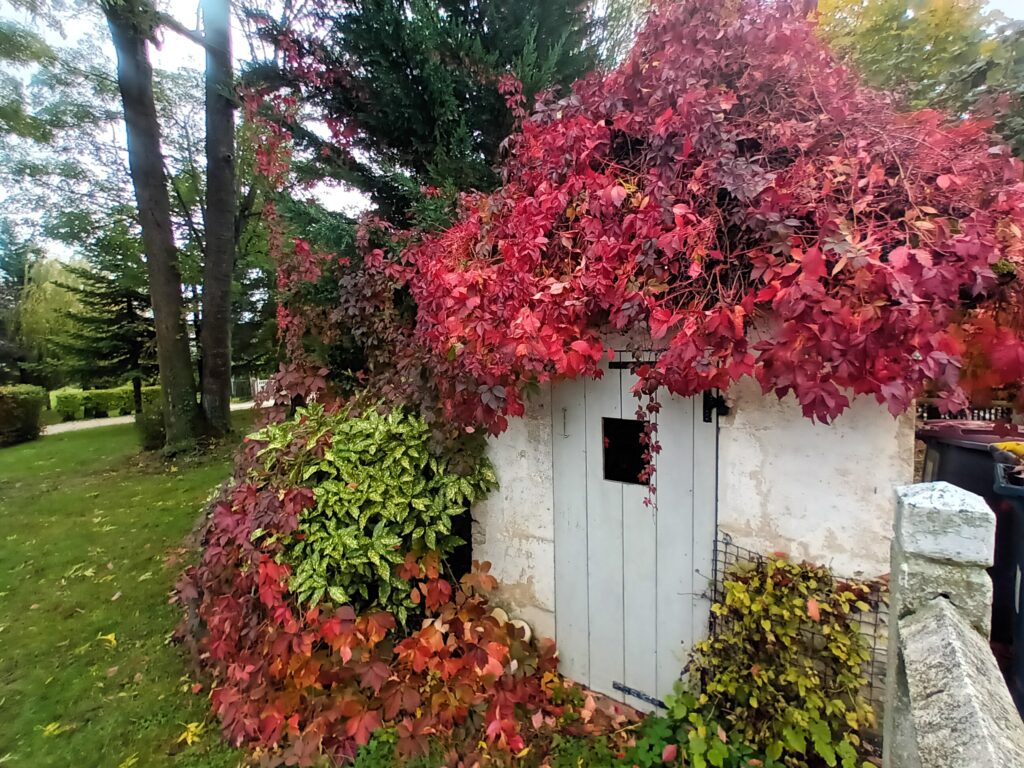 la cabane au fond du jardin