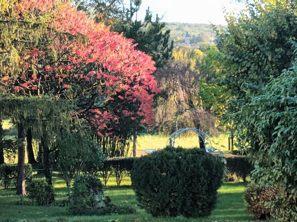 Le vinaigrier dans toute sa splendeur