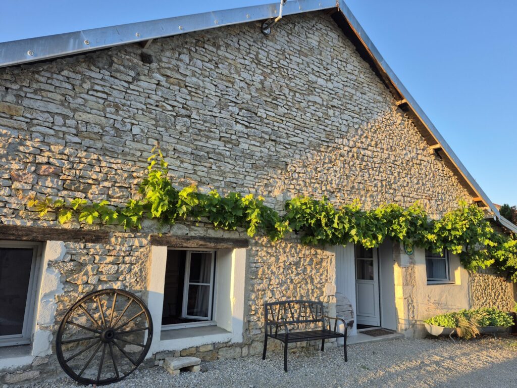 La vigne dans son meilleur effet