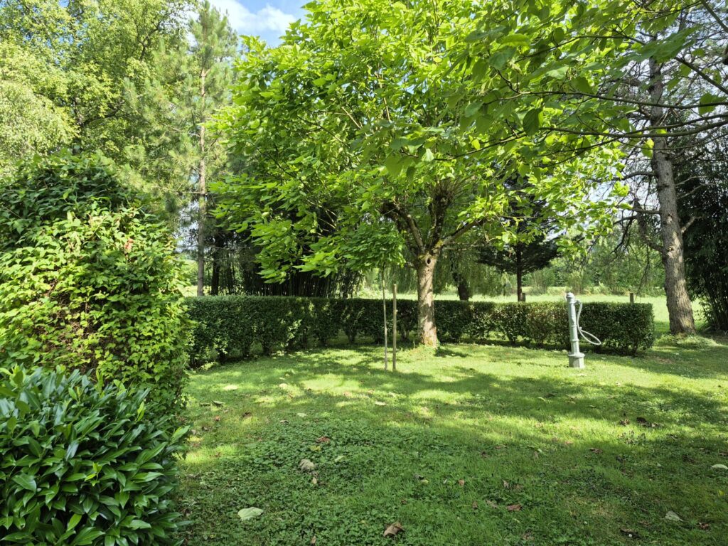 Dans le parc paysager