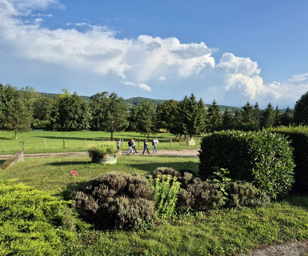 vue depuis le gite de l'étang