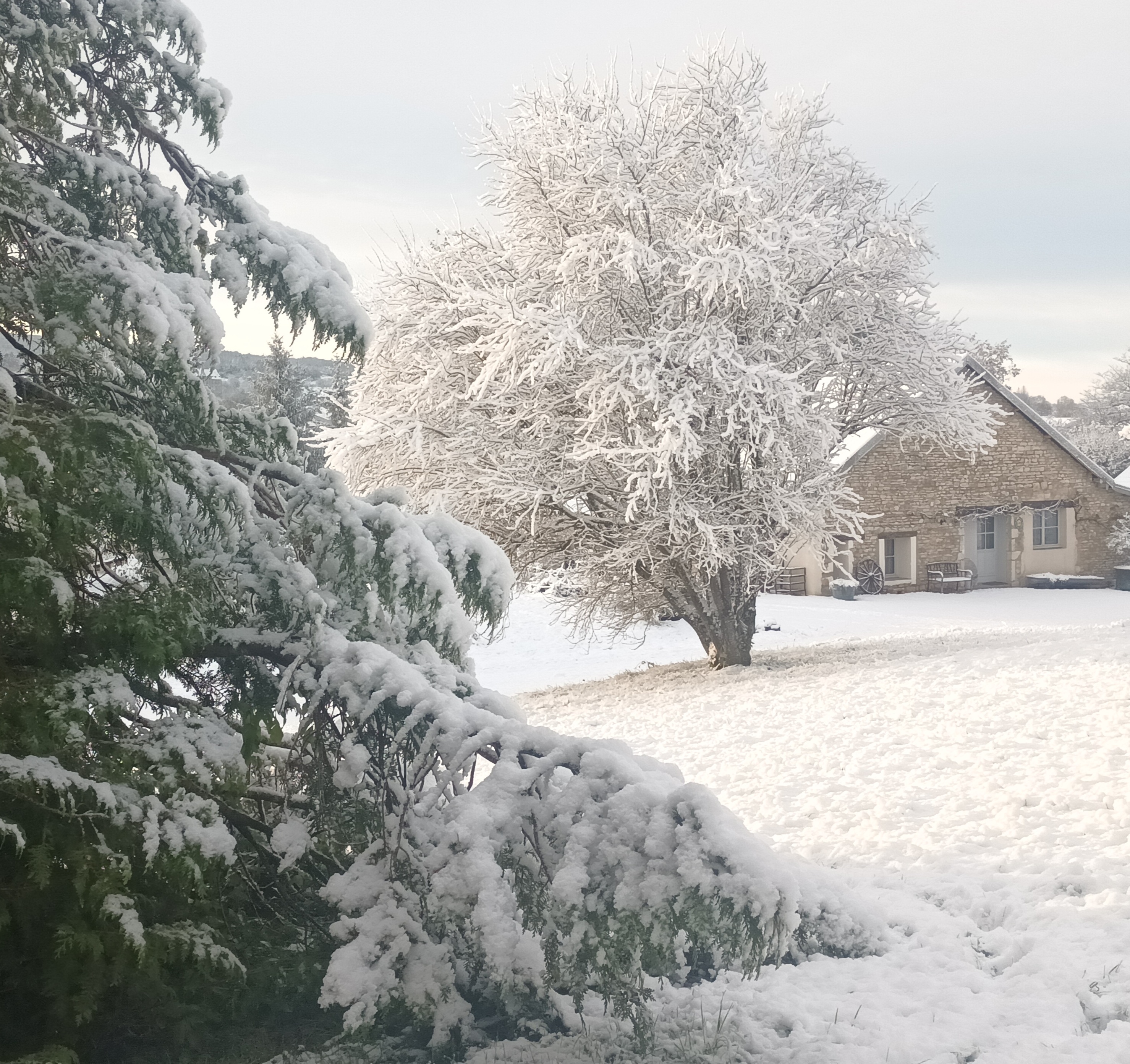 neige côté laiterie