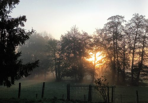 La lumière dans tous ses états...