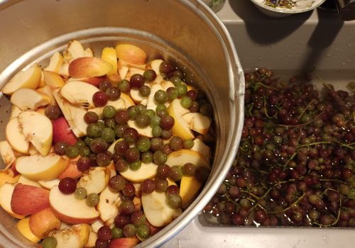 Confiture pomme raisins
