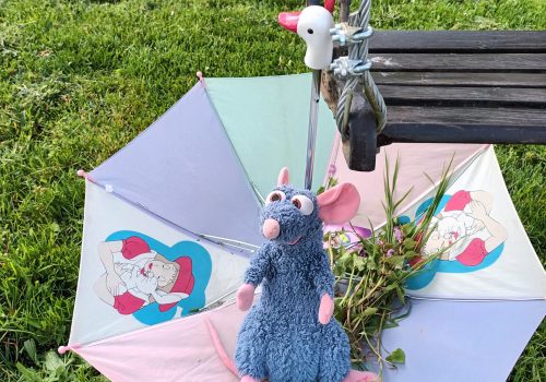 Un beau parapluie pour ratatouille
