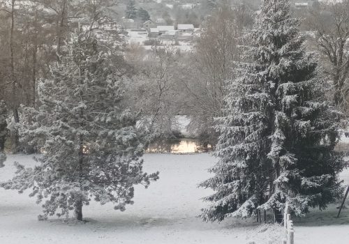 L'étang sous la neige