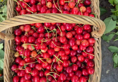 2025, année riche en fruits