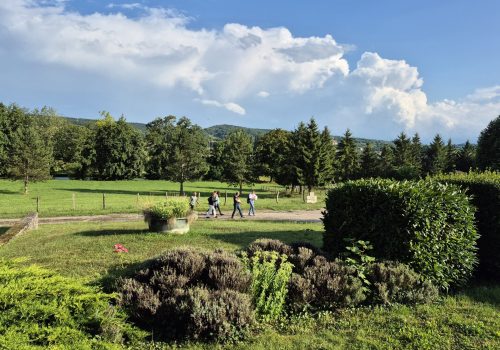 vue depuis le gite de l'étang