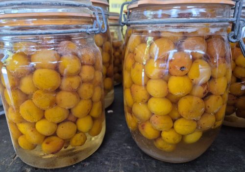 les bocaux de mirabelles