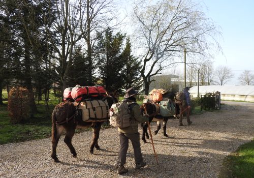 l'accueil des pélerins accompagnés d'ânes