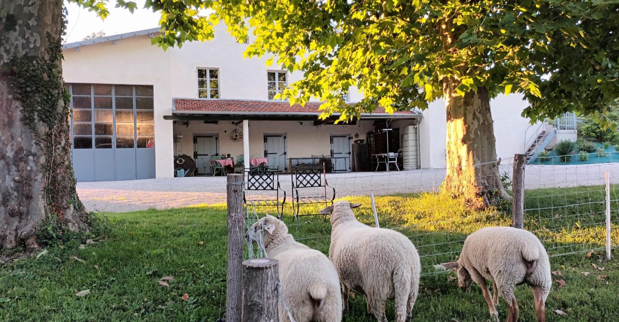 Vue côté étang depuis le quai de la laiterie